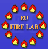 http://www.eufirelab.org