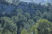 Cr�dit photo : phototh�que for�t m�diterran�enne et incendie (CEMAGREF)