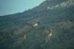 Cr�dit photo : phototh�que for�t m�diterran�enne et incendie (CEMAGREF)