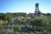 Cr�dit photo : phototh�que for�t m�diterran�enne et incendie (CEMAGREF)