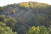 Cr�dit photo : phototh�que for�t m�diterran�enne et incendie (CEMAGREF)