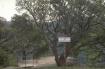 Cr�dit photo : phototh�que for�t m�diterran�enne et incendie (CEMAGREF)