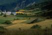 Cr�dit photo : phototh�que for�t m�diterran�enne et incendie (CEMAGREF)