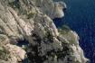 Cr�dit photo : phototh�que for�t m�diterran�enne et incendie (CEMAGREF)