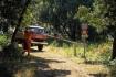 Cr�dit photo : phototh�que for�t m�diterran�enne et incendie (CEMAGREF)